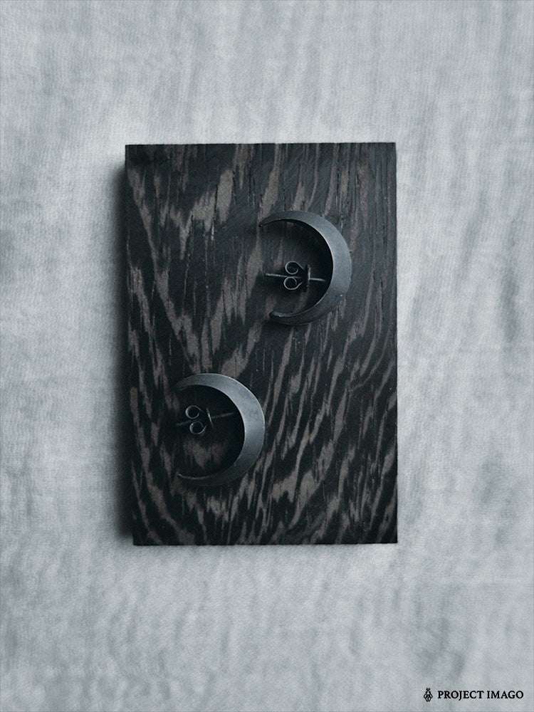 Crescent Earrings
