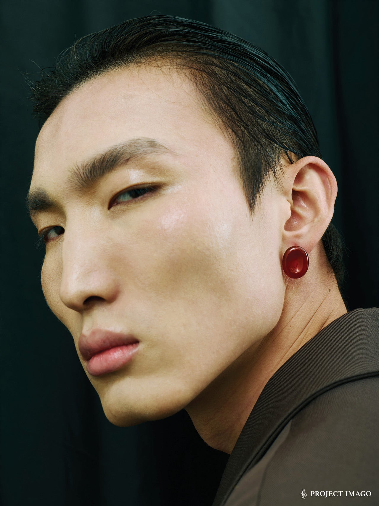 Red Blood Cell Earrings in Red Agate