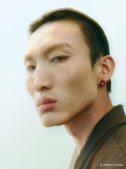 Red Blood Cell Earrings in Red Agate