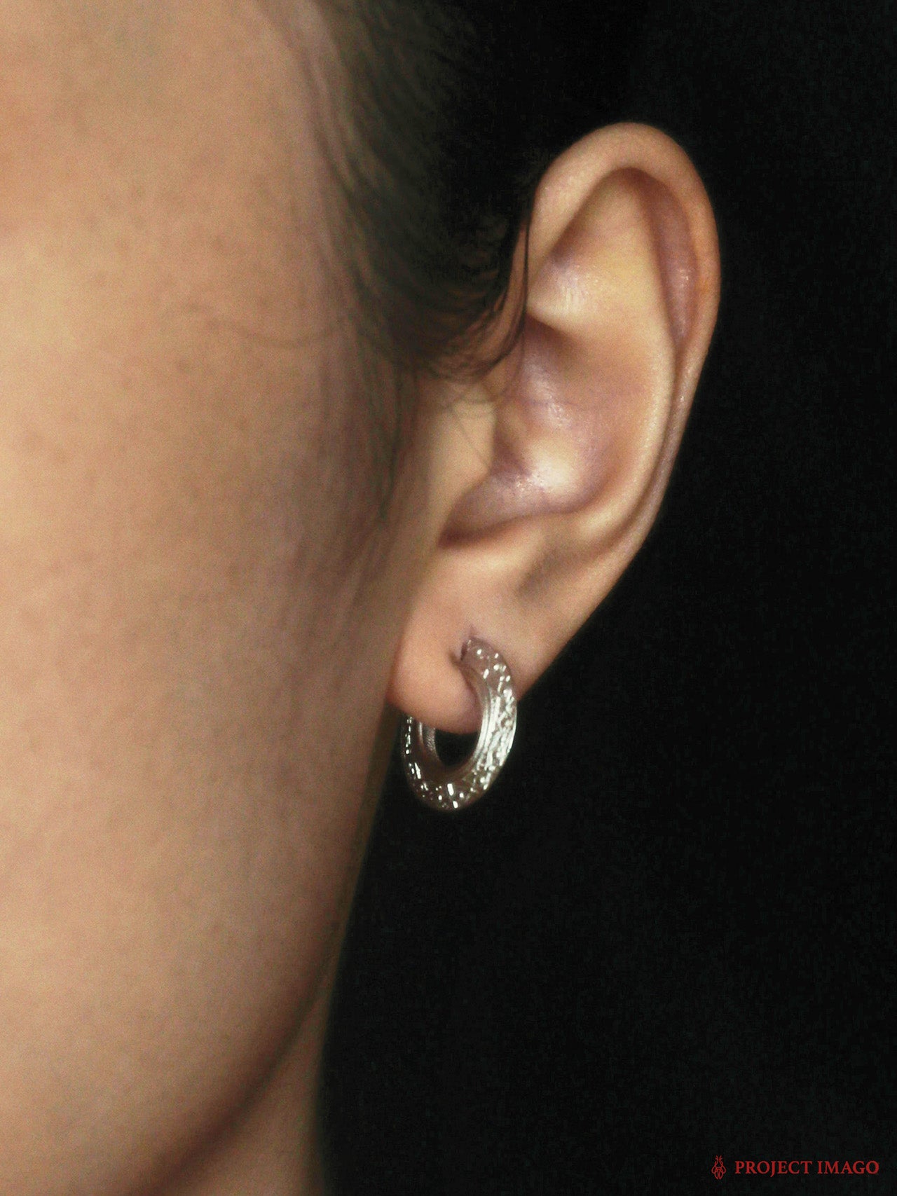 The Guest Earrings Small