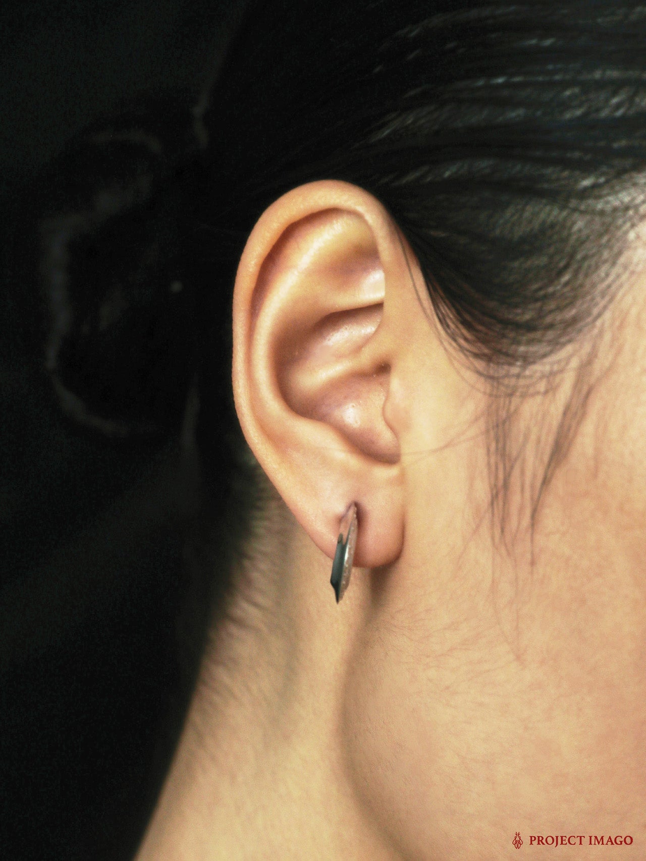 The Guest Earrings Small