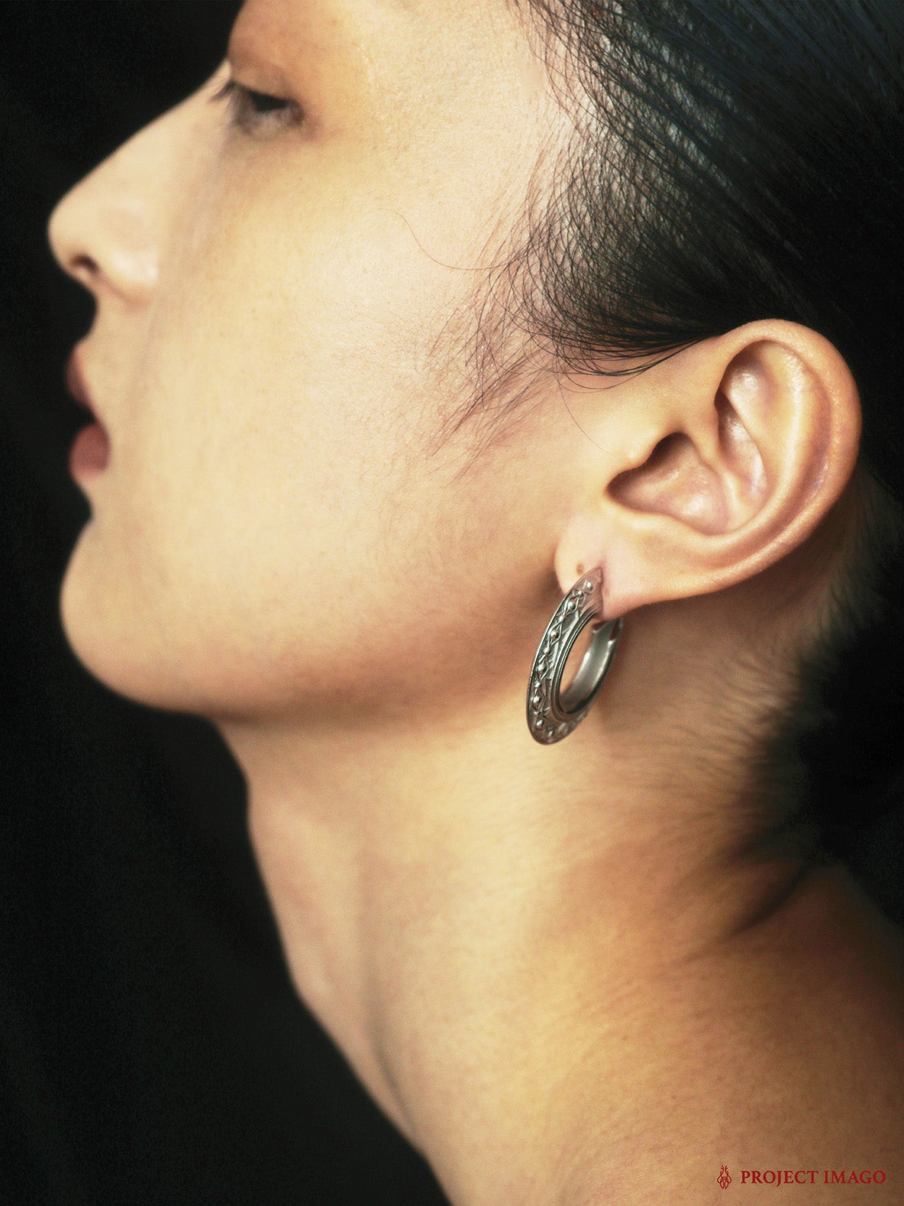 The Guest Earrings Large