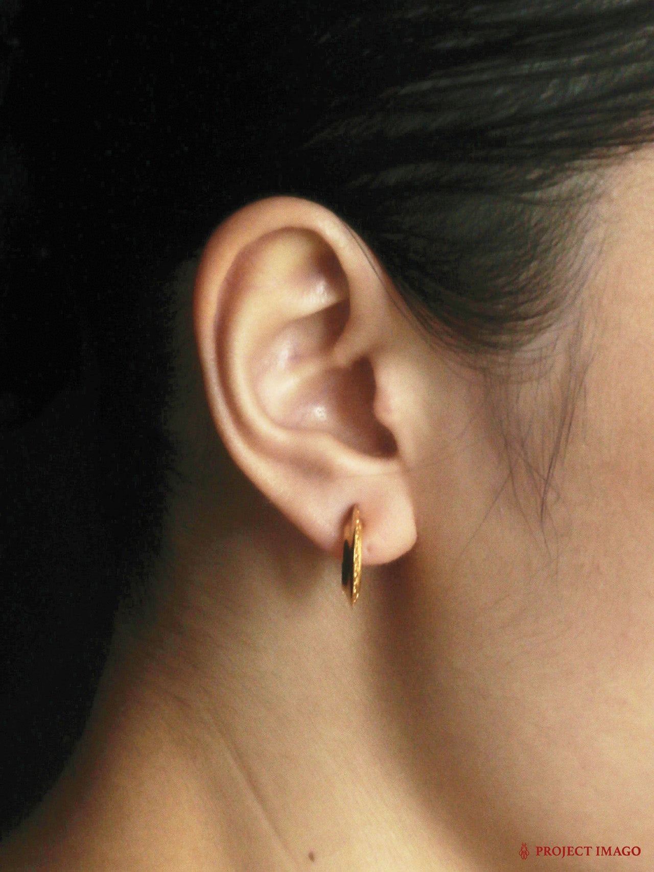 The Guest Earrings Small