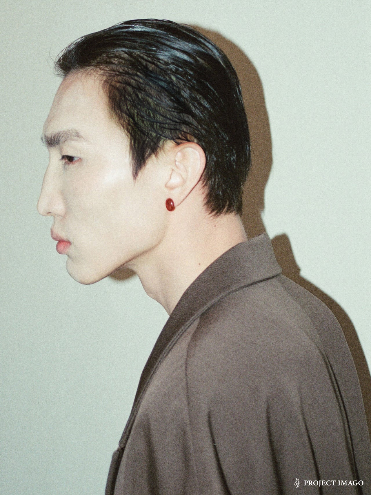 Red Blood Cell Earrings in Red Agate