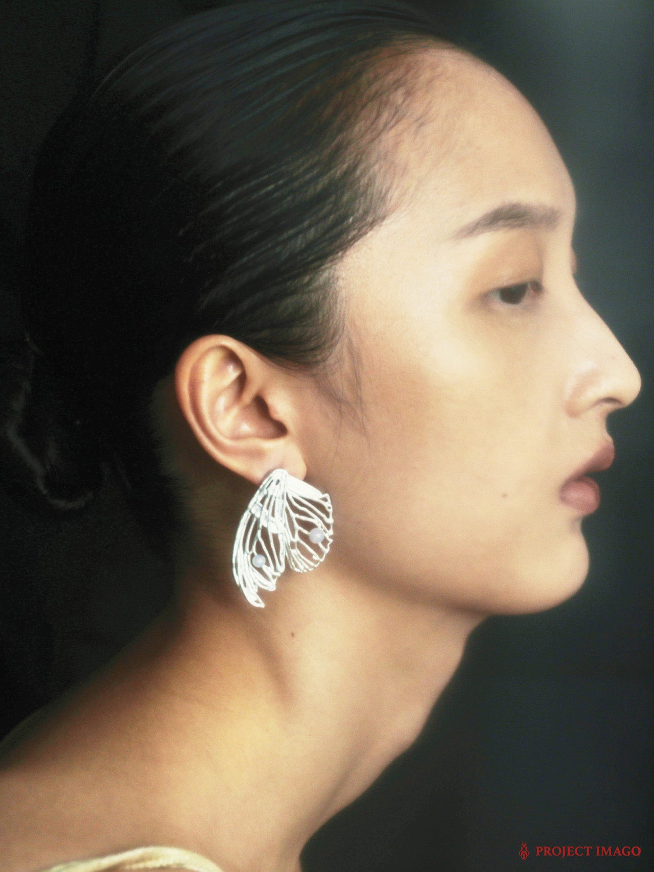 Remnant Earrings in Agate