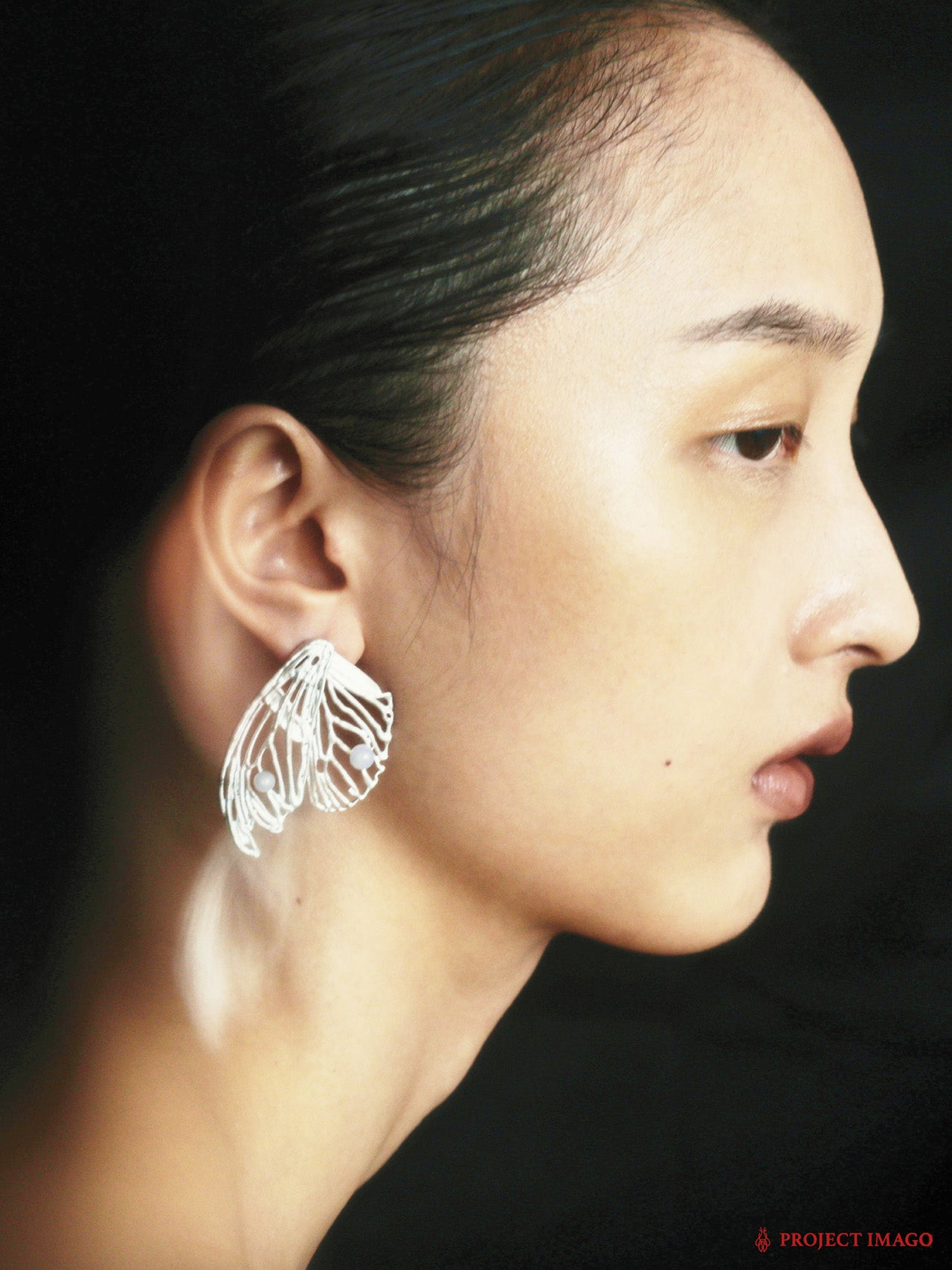 Remnant Earrings in Agate