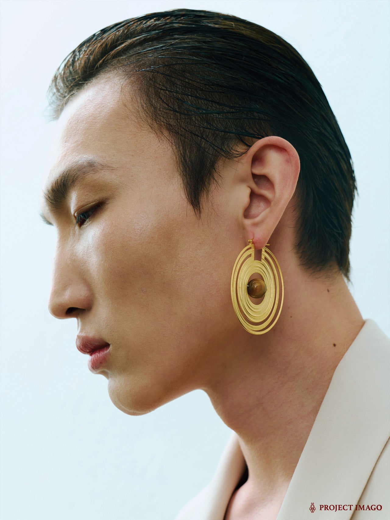 Saturn Earrings in Silver Obsidian or Tiger's Eye