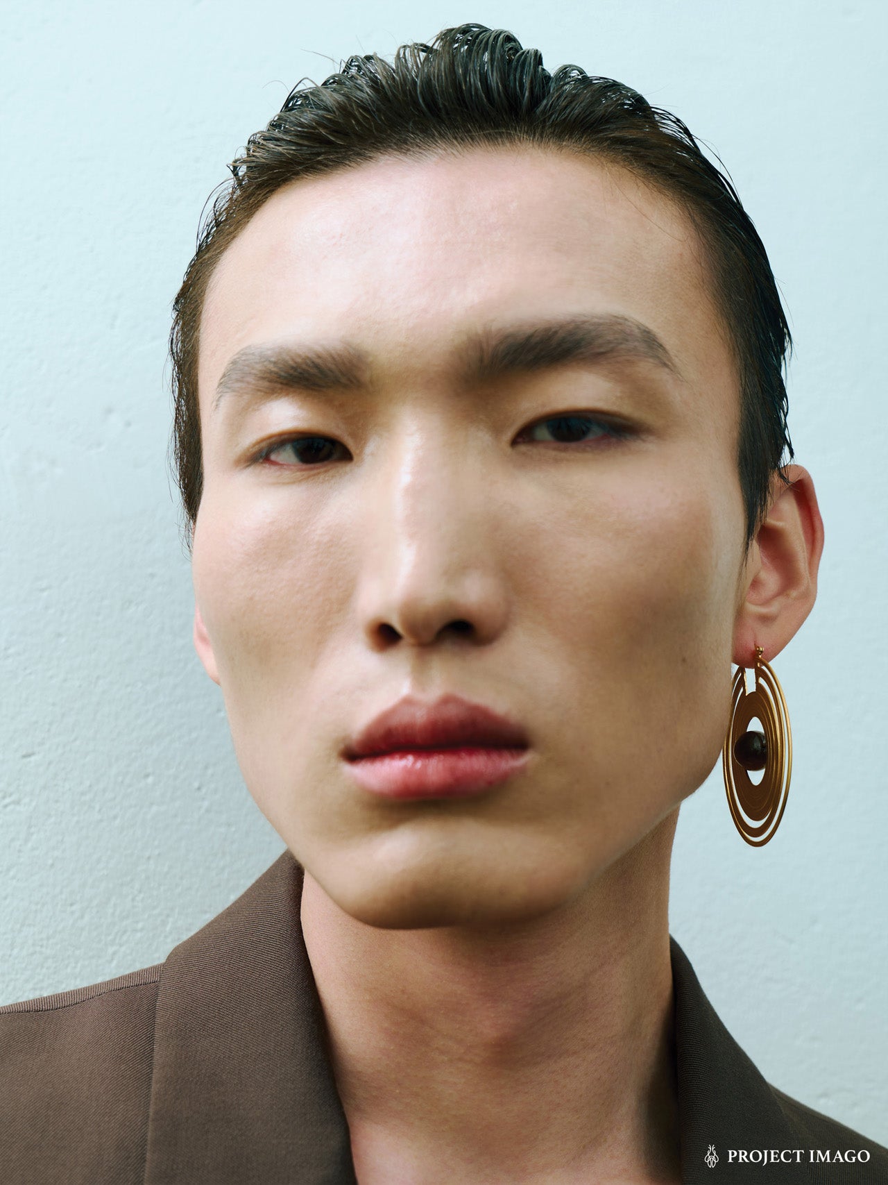 Saturn Earrings in Silver Obsidian or Tiger's Eye