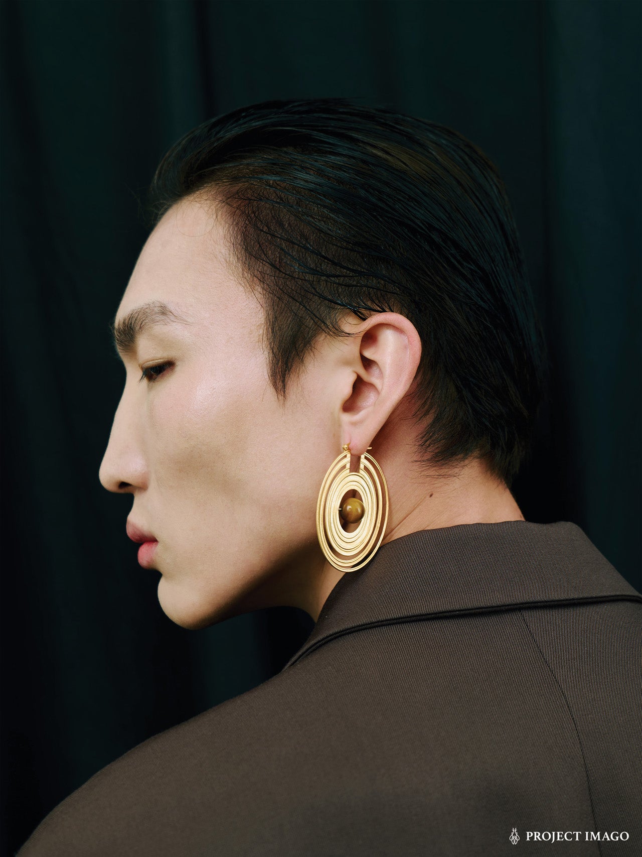 Saturn Earrings in Silver Obsidian or Tiger's Eye