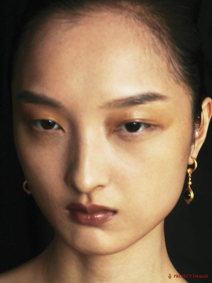 Astrovision Earrings in Agate