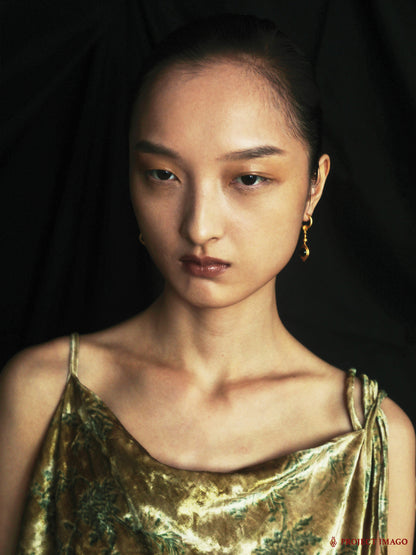 Astrovision Earrings in Agate