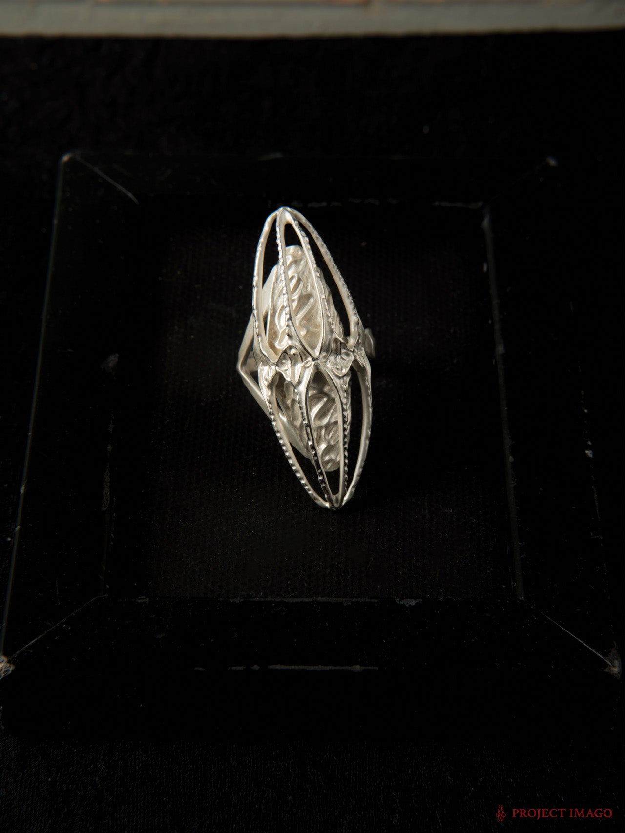 Mirror Jellyfish Ring