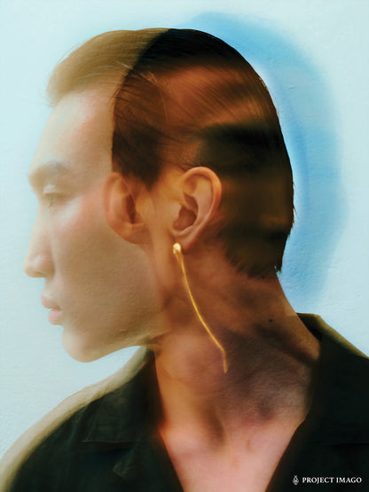 Sardine Earrings in Crystal