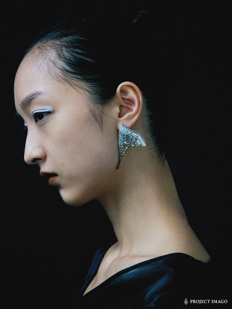 Remnant Earrings in Titanium